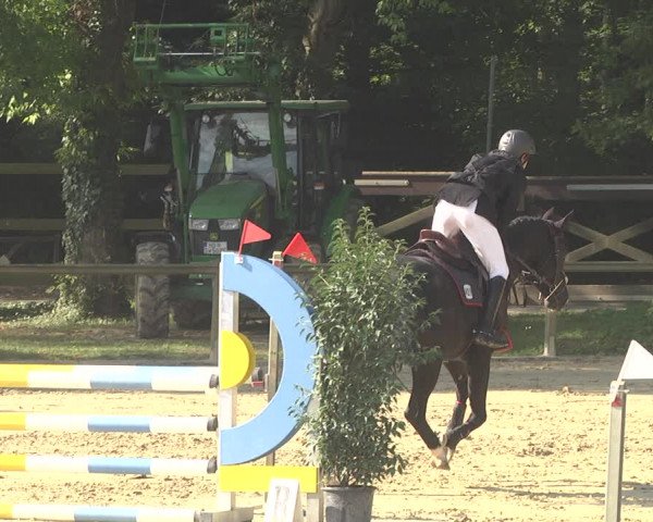 Springturnier Walldorf/Winterheck 2021