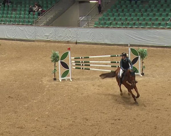 Reitturnier Kreuth 2023