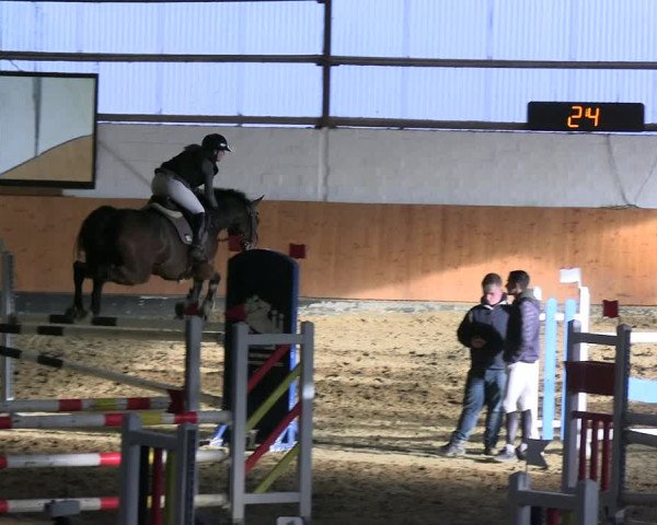 Reitturnier Datteln 2023