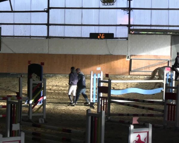 Reitturnier Datteln 2023