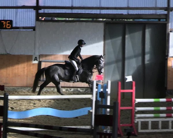 Reitturnier Datteln 2023