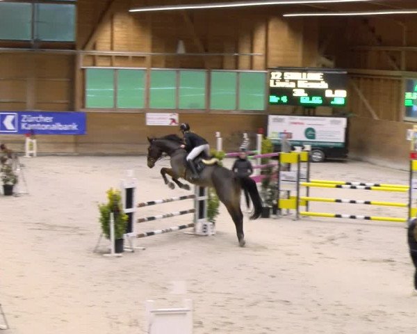 Reitturnier Rüti 2023