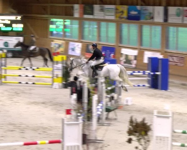 Reitturnier Rüti 2023