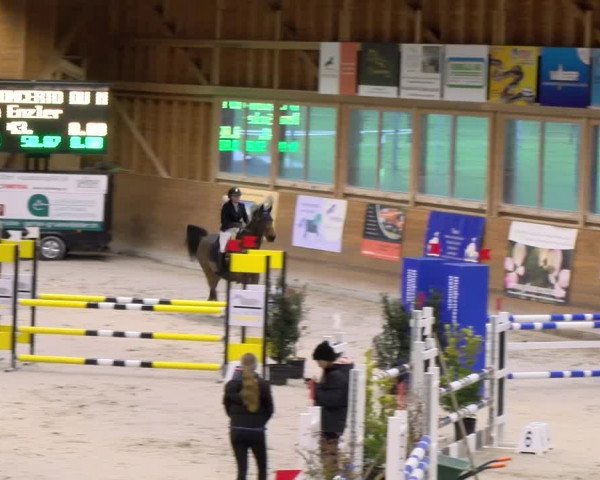 Reitturnier Rüti 2023
