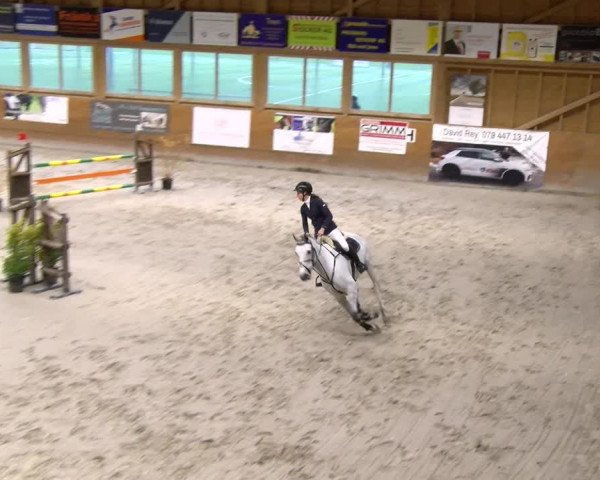 Reitturnier Rüti 2023
