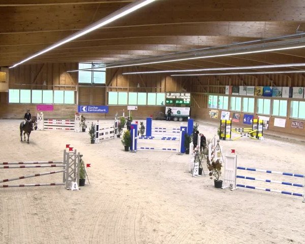 Reitturnier Rüti 2023