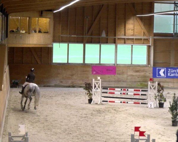 Reitturnier Rüti 2023