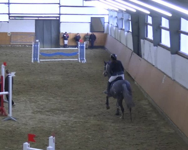 Reitturnier Datteln 2023