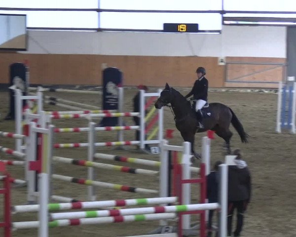 Reitturnier Datteln 2023