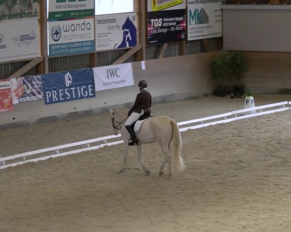 Reitturnier Schaffhausen 2023