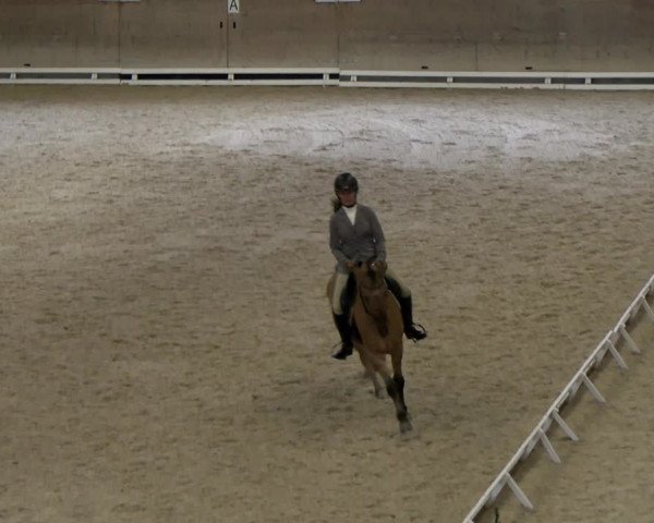 Reitturnier Schaffhausen 2023