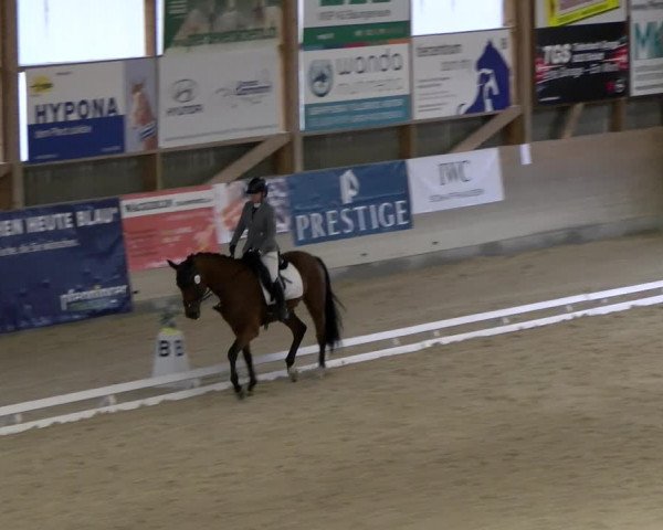 Reitturnier Schaffhausen 2023