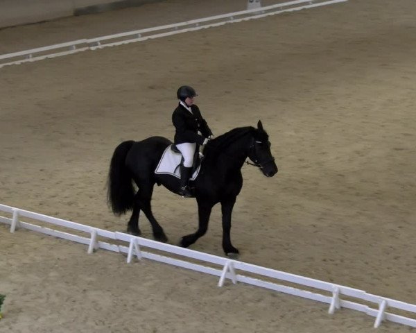 Reitturnier Schaffhausen 2023