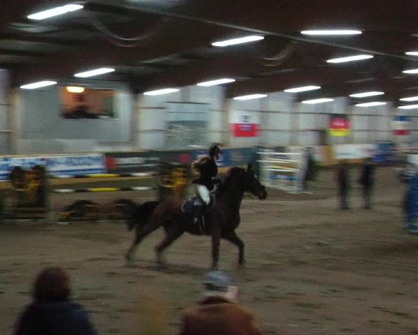 Reitturnier Pausin 2023