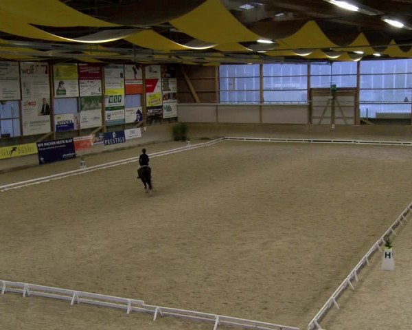 Reitturnier Schaffhausen 2023