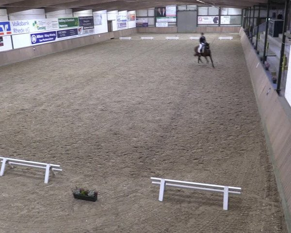 Reitturnier Rhede 2023