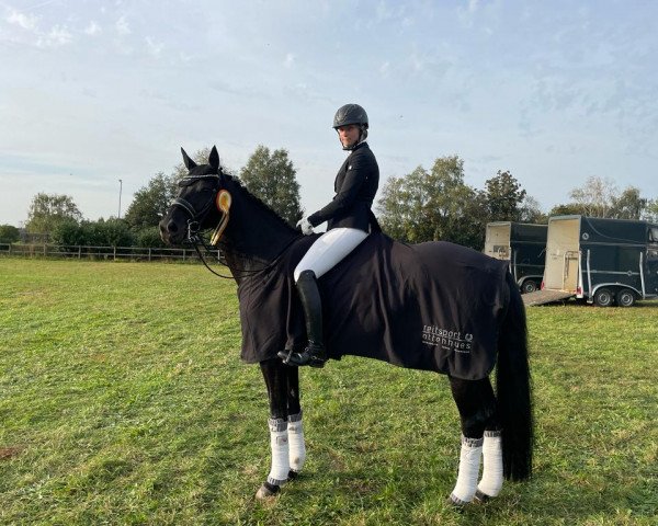 dressage horse Zoey 16 (Oldenburg, 2013, from Zonik)