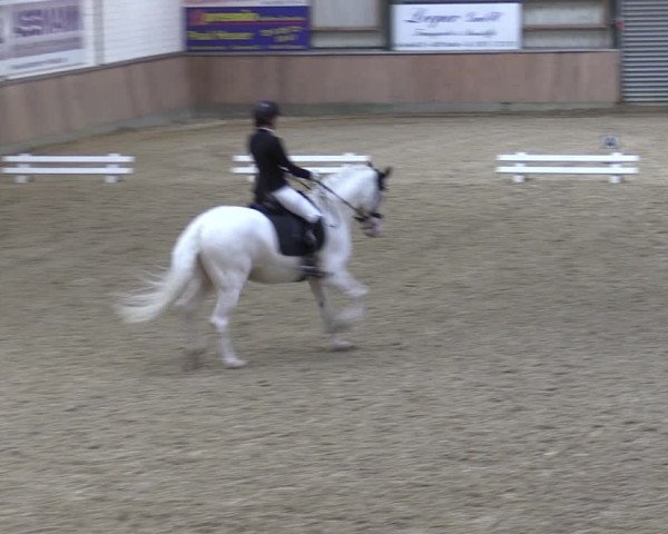 Reitturnier Rhede 2023