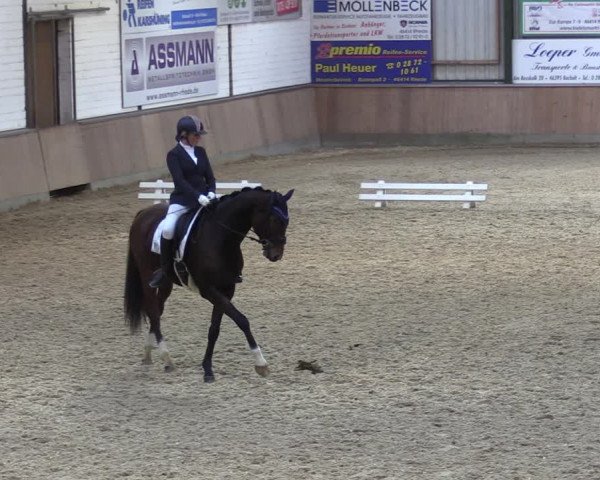 Reitturnier Rhede 2023
