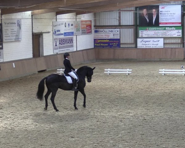Reitturnier Rhede 2023