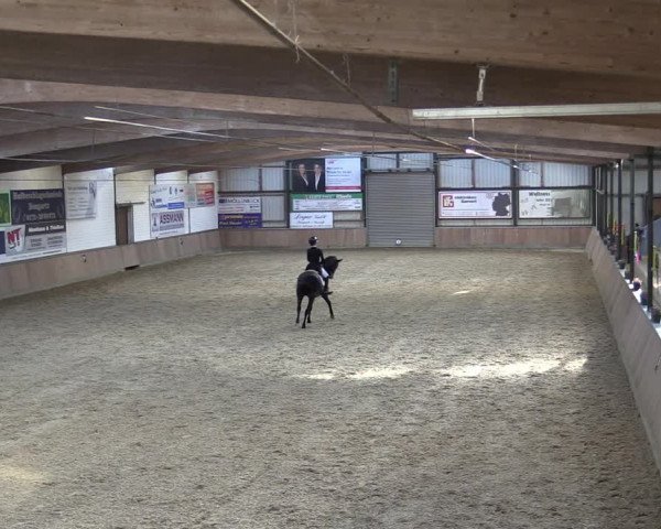 Reitturnier Rhede 2023