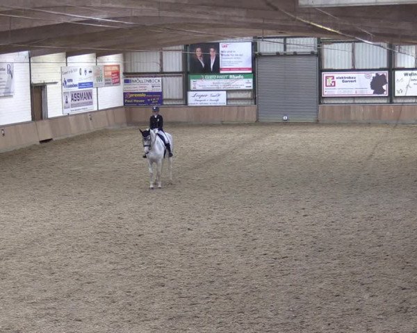 Reitturnier Rhede 2023