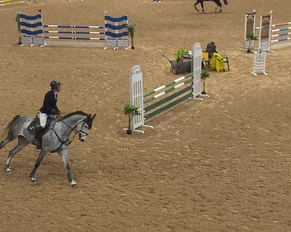 Reitturnier Kreuth 2023