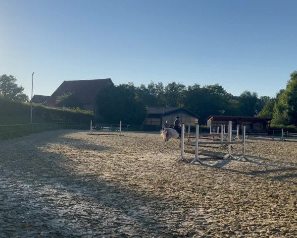Video von Cloigen Flashjack