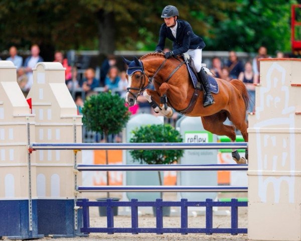 Springpferd Queen of Jump 3 (Westfale, 2011, von Quipeggio)