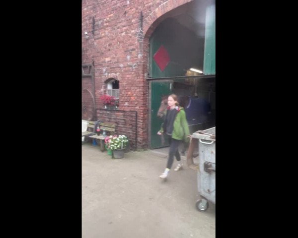 Video of Fürst Fandango