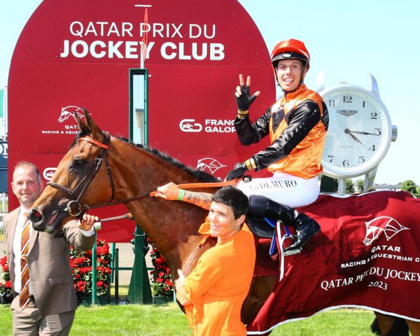 stallion Ace Impact xx (Thoroughbred, 2020, from Cracksman xx)