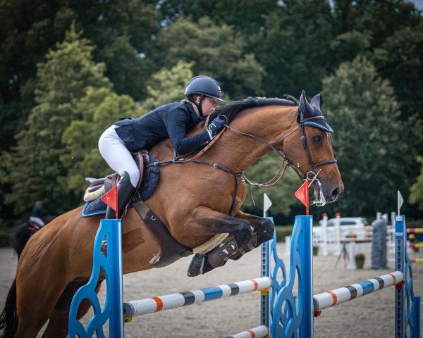 jumper Cartaggi (Holsteiner, 2005, from Cartani 4)