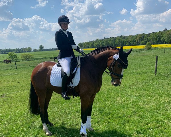 dressage horse Fleur Sauvage 3 (Hanoverian, 2016, from Fürst Belissaro)