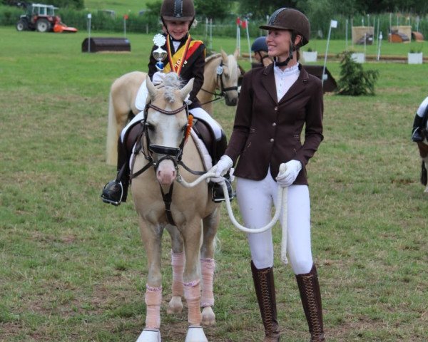 dressage horse BW's Golden Dancer (Welsh-Pony (Section B), 2014, from Nilantshoeve's Zippo)