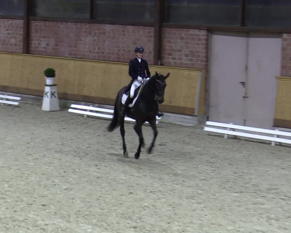 Reitturnier Hamburg-Friedrichshulde/Sylva Kuhrt 2023