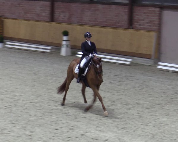 Reitturnier Hamburg-Friedrichshulde/Sylva Kuhrt 2023