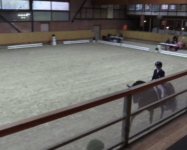 Reitturnier Hamburg-Friedrichshulde/Sylva Kuhrt 2023