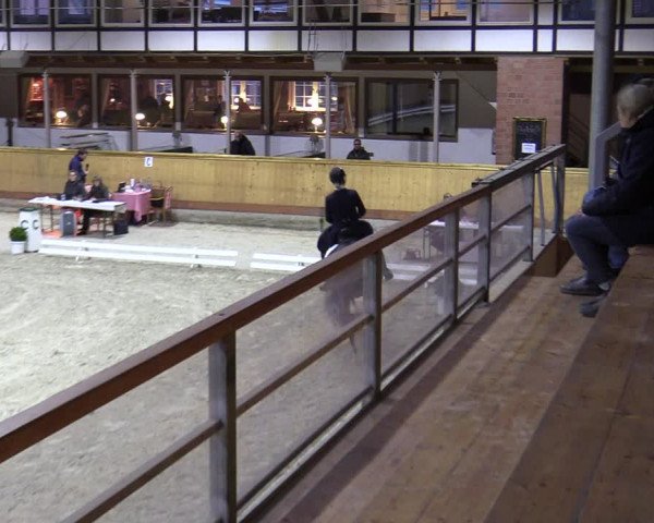 Reitturnier Hamburg-Friedrichshulde/Sylva Kuhrt 2023
