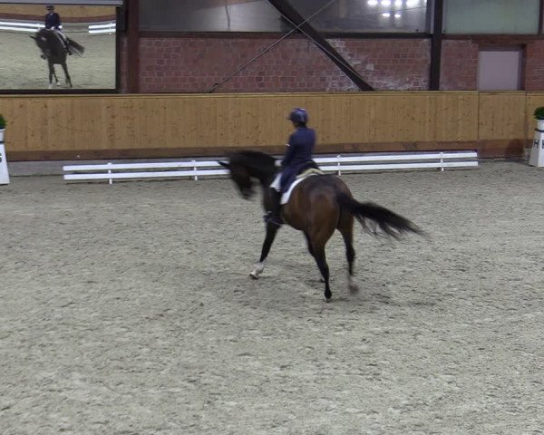 Reitturnier Hamburg-Friedrichshulde/Sylva Kuhrt 2023