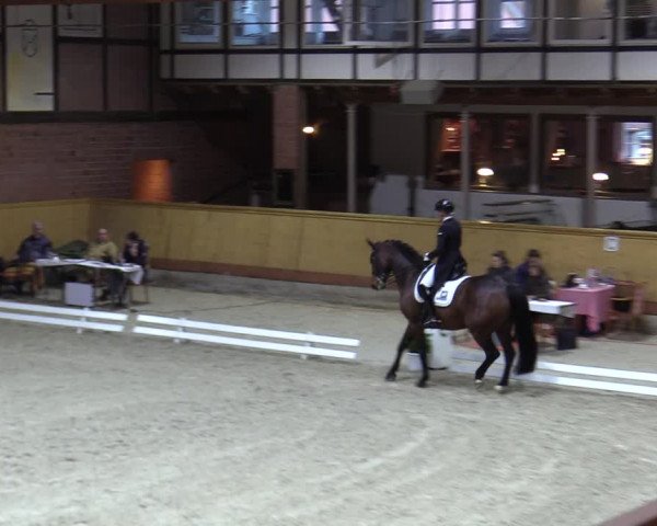 Reitturnier Hamburg-Friedrichshulde/Sylva Kuhrt 2023