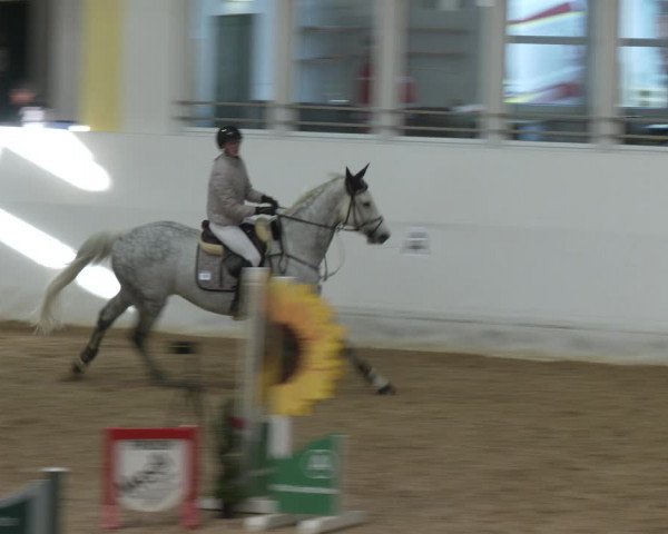 Springturnier Stadl-Paura 2023