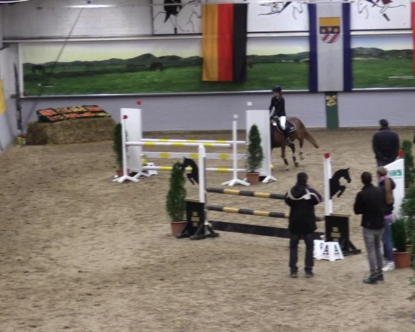 23. Legdener Ponymeeting 2021