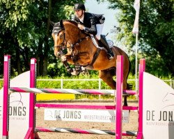 jumper Popeye vd Bisschop (Belgian Warmblood, 2015, from Lector van de Bisschop)