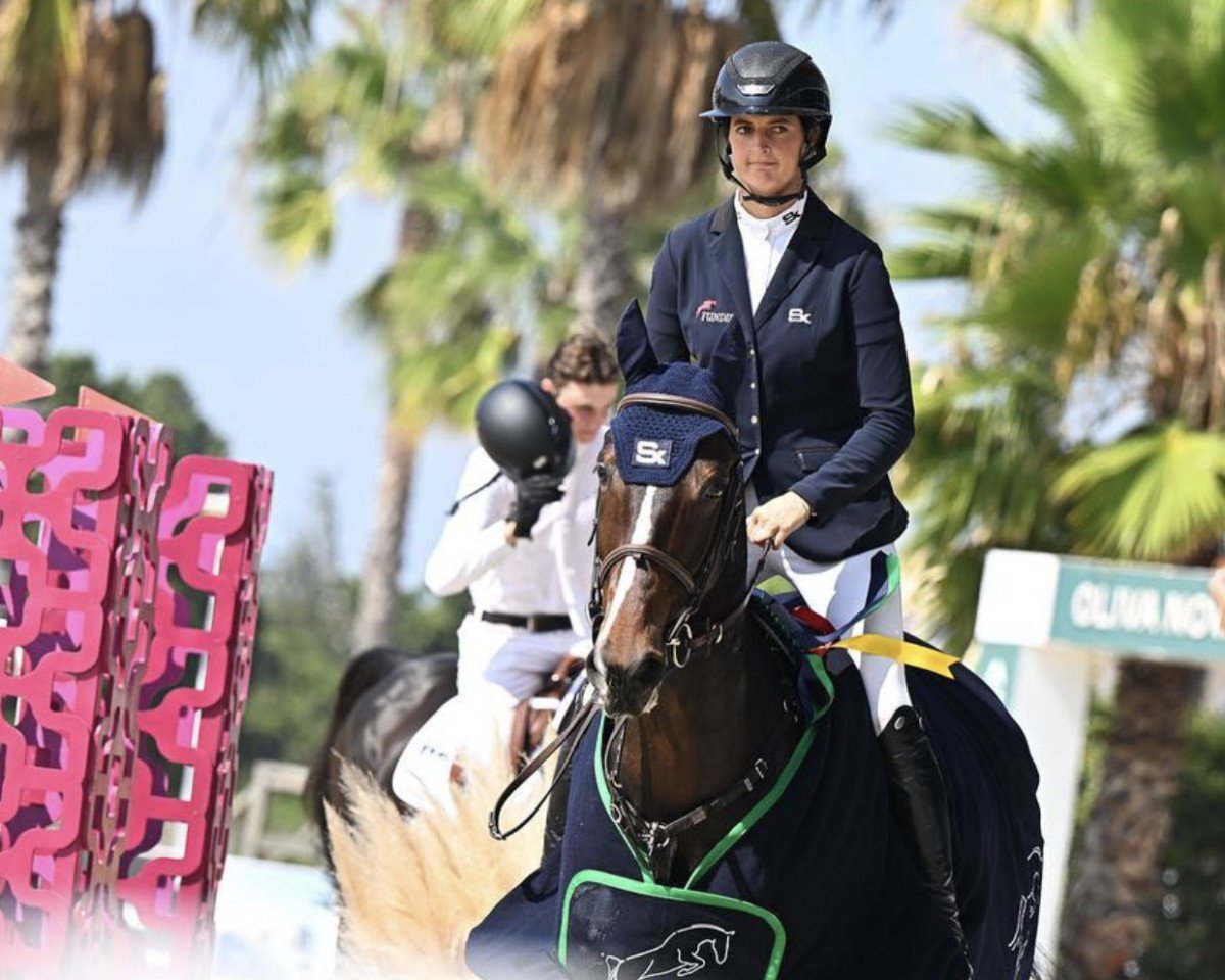 jumper Phantomas PS (Belgian Warmblood, 2015, from Kannan)