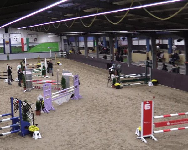 23. Legdener Ponymeeting 2021