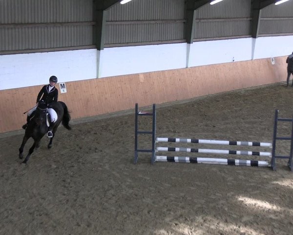Reitturnier Datteln 2023