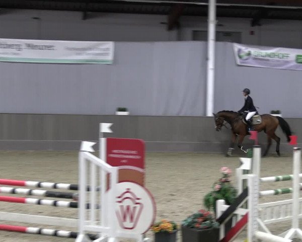 Reitturnier Münster-Handorf 2023