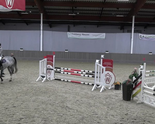 Reitturnier Münster-Handorf 2023