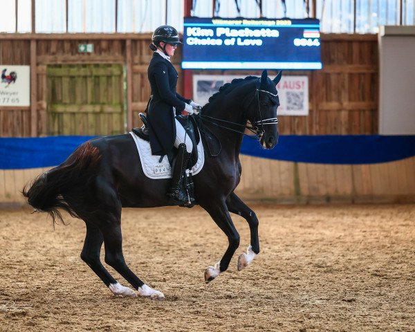 dressage horse Choice of Love (Oldenburg, 2015, from Christ)