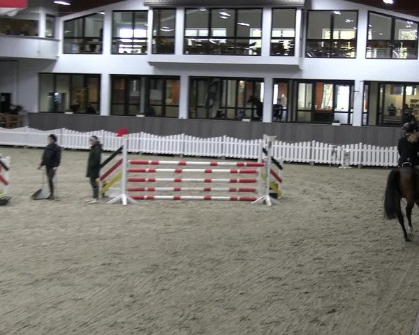 Reitturnier Münster-Handorf 2023